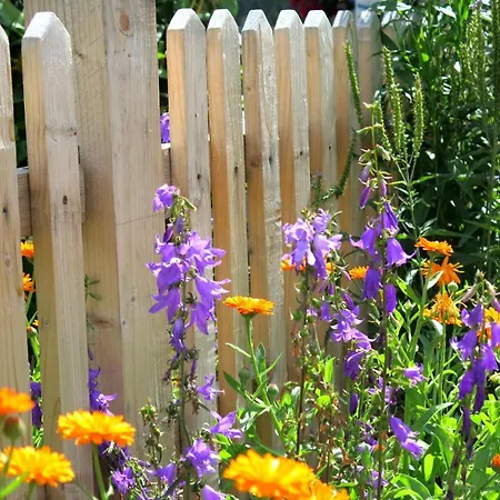 Apartamento Haus Intlekofer *